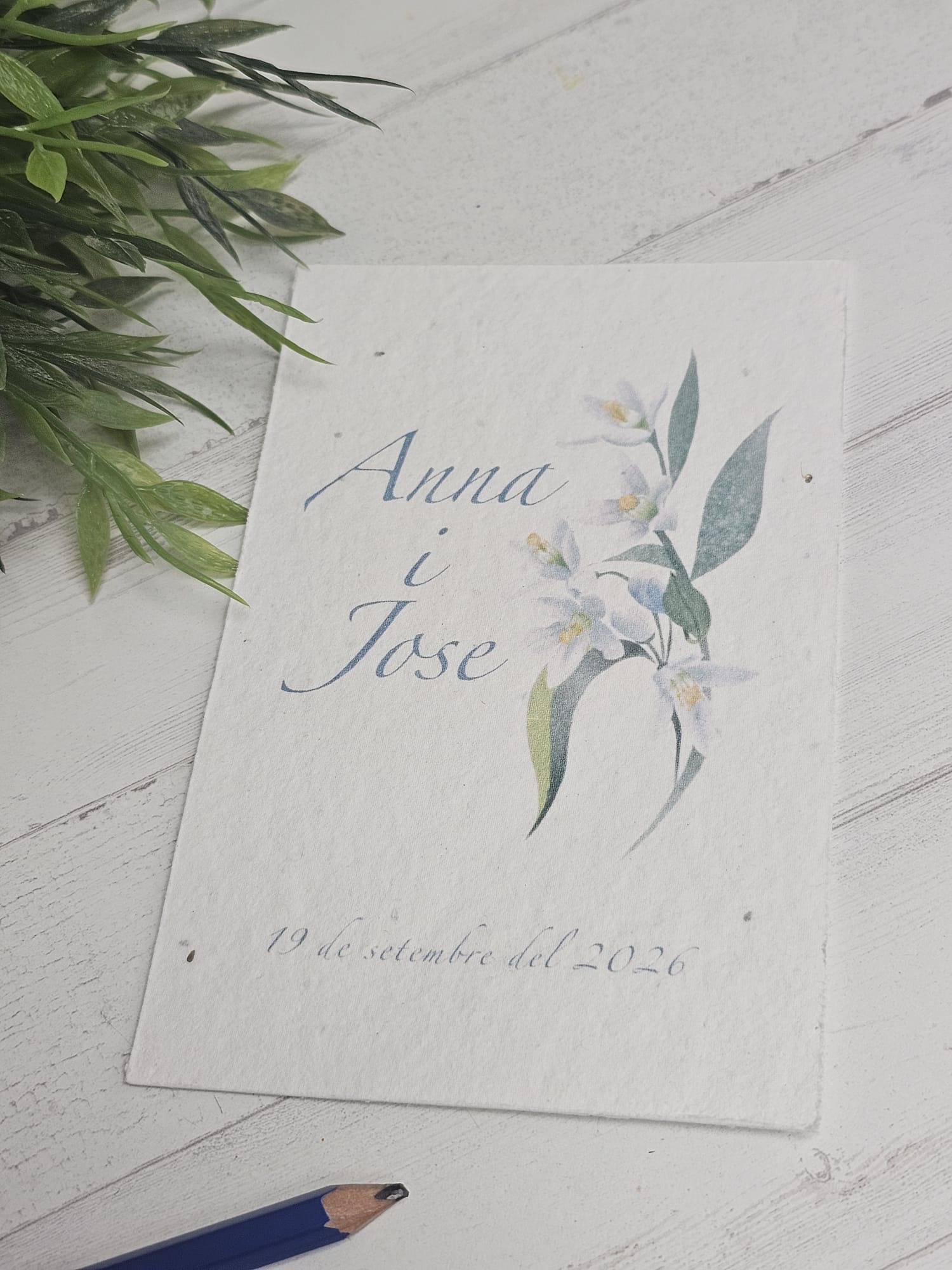 invitaciones de boda plantables