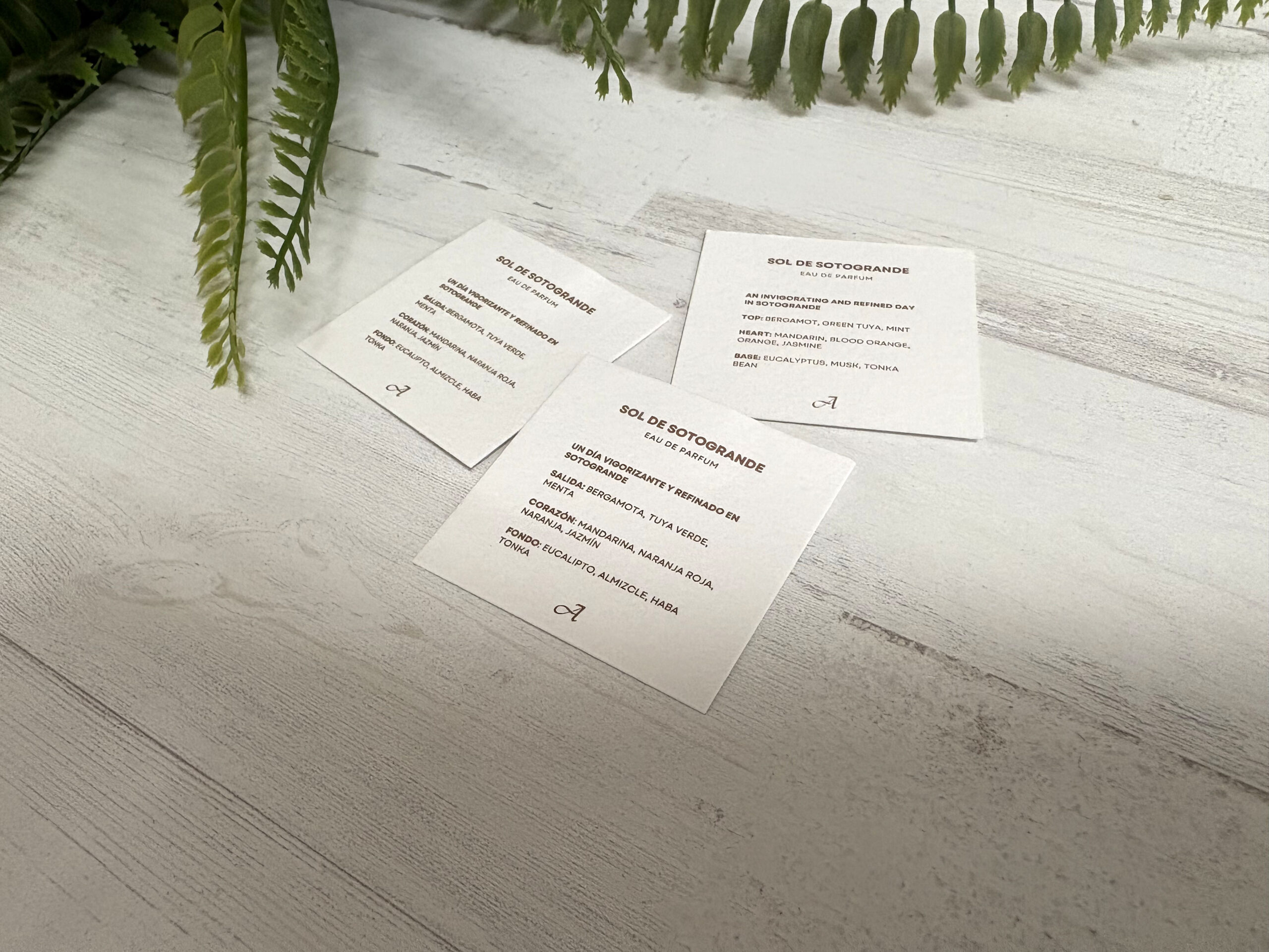 blotters personalizados