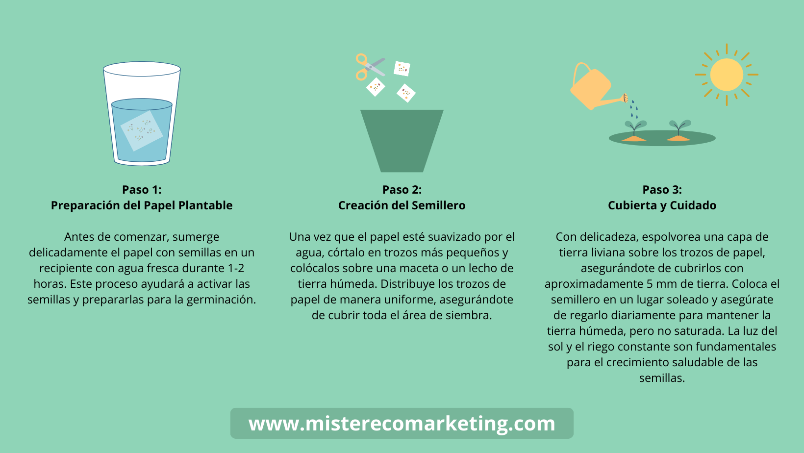 Cómo se planta el papel con semillas