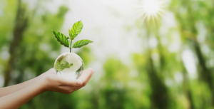 Lee más sobre el artículo Impresión Ecológica: para un crecimiento más ecológico sin pérdida de prosperidad