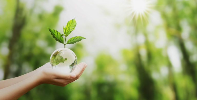 Lee más sobre el artículo Impresión Ecológica: para un crecimiento más ecológico sin pérdida de prosperidad