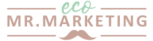 Logo Mister Eco Marketing