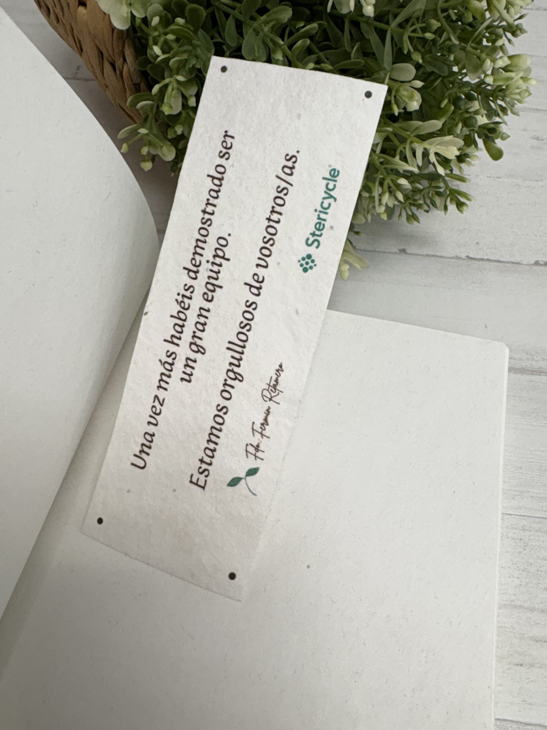 marcapaginas papel plantable