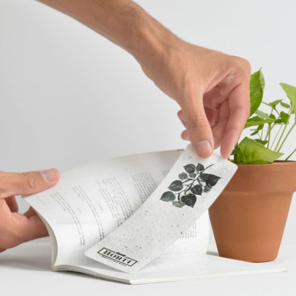 Punto de libro algodon