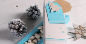 Lee más sobre el artículo Packaging de navidad